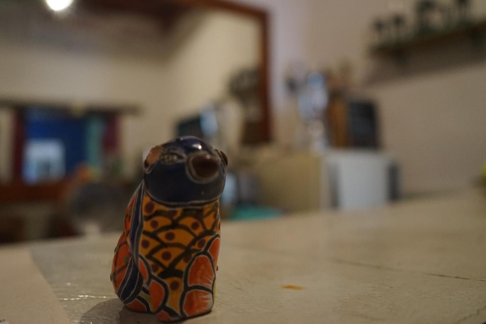 Hostalito Casa Alebrije กัวนาฮัวโต ภายนอก รูปภาพ